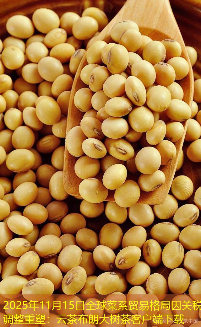 2025年11月15日全球菜系贸易格局因关税调整重塑：云茶布朗大树茶客户端下载