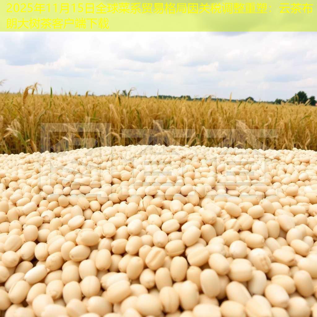 2025年11月15日全球菜系贸易格局因关税调整重塑