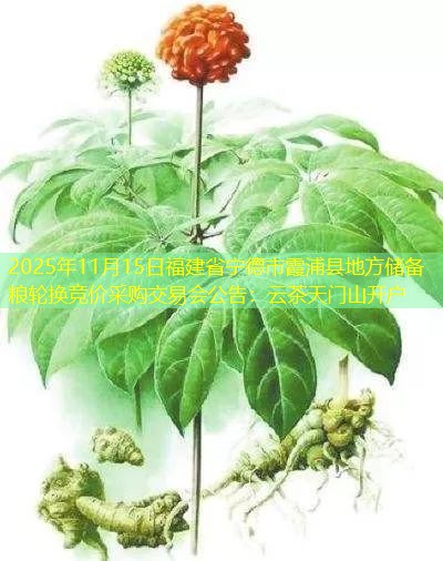 2025年11月15日福建省宁德市霞浦县地方储备粮轮换竞价采购交易会公告：云茶天门山开户