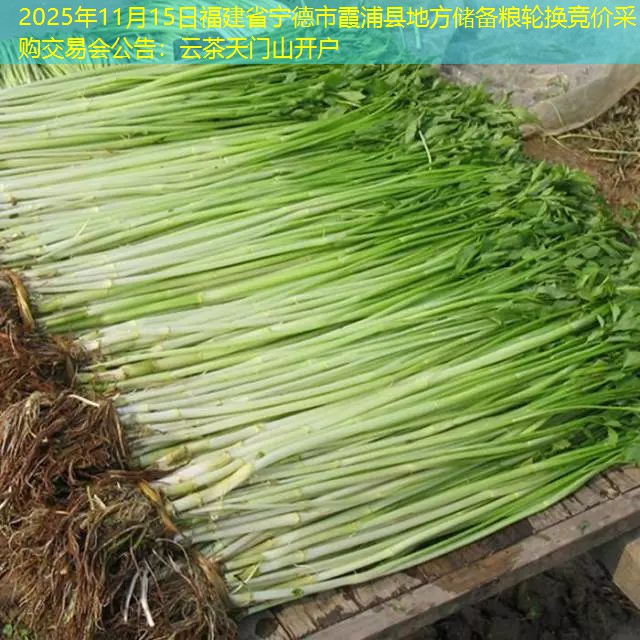 2025年11月15日福建省宁德市霞浦县地方储备粮轮换竞价采购交易会公告