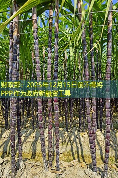 财政部：2025年12月15日前不得将PPP作为政府新融资工具