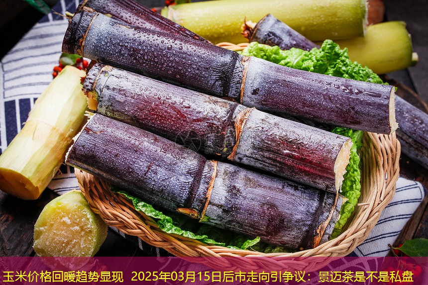 玉米价格回暖趋势显现 2025年03月15日后市走向引争议：景迈茶是不是私盘