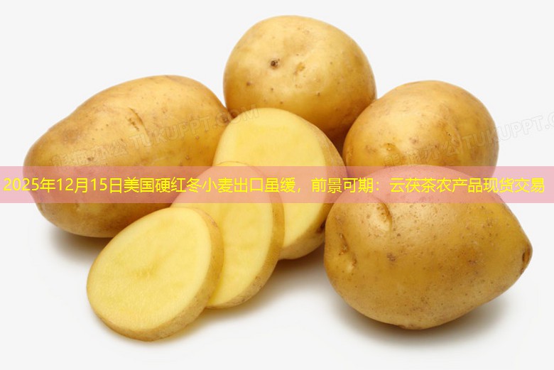2025年12月15日美国硬红冬小麦出口虽缓，前景可期：云茯茶农产品现货交易