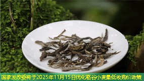 国家发改委将于2025年11月15日优化稻谷小麦最低收购价政策