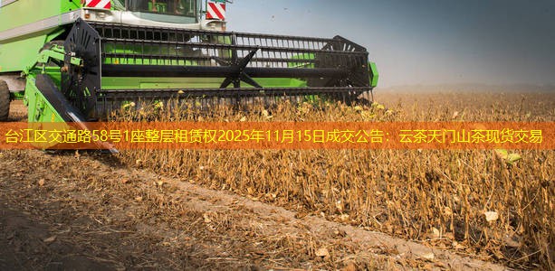 台江区交通路58号1座整层租赁权2025年11月15日成交公告