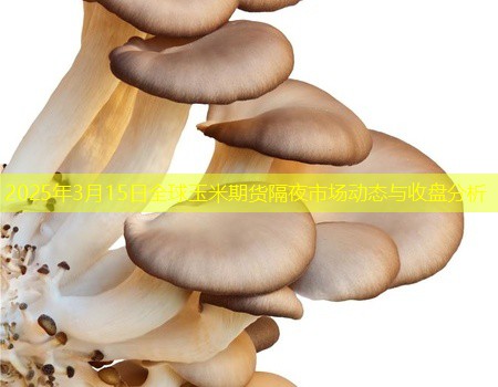 2025年3月15日全球玉米期货隔夜市场动态与收盘分析