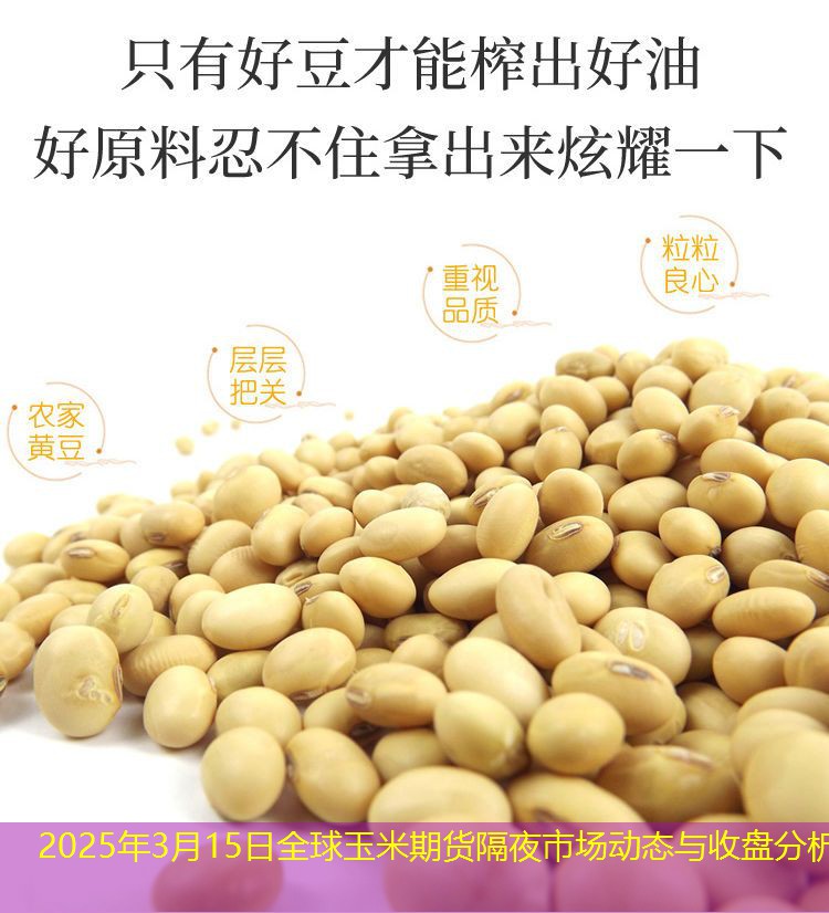 2025年3月15日全球玉米期货隔夜市场动态与收盘分析