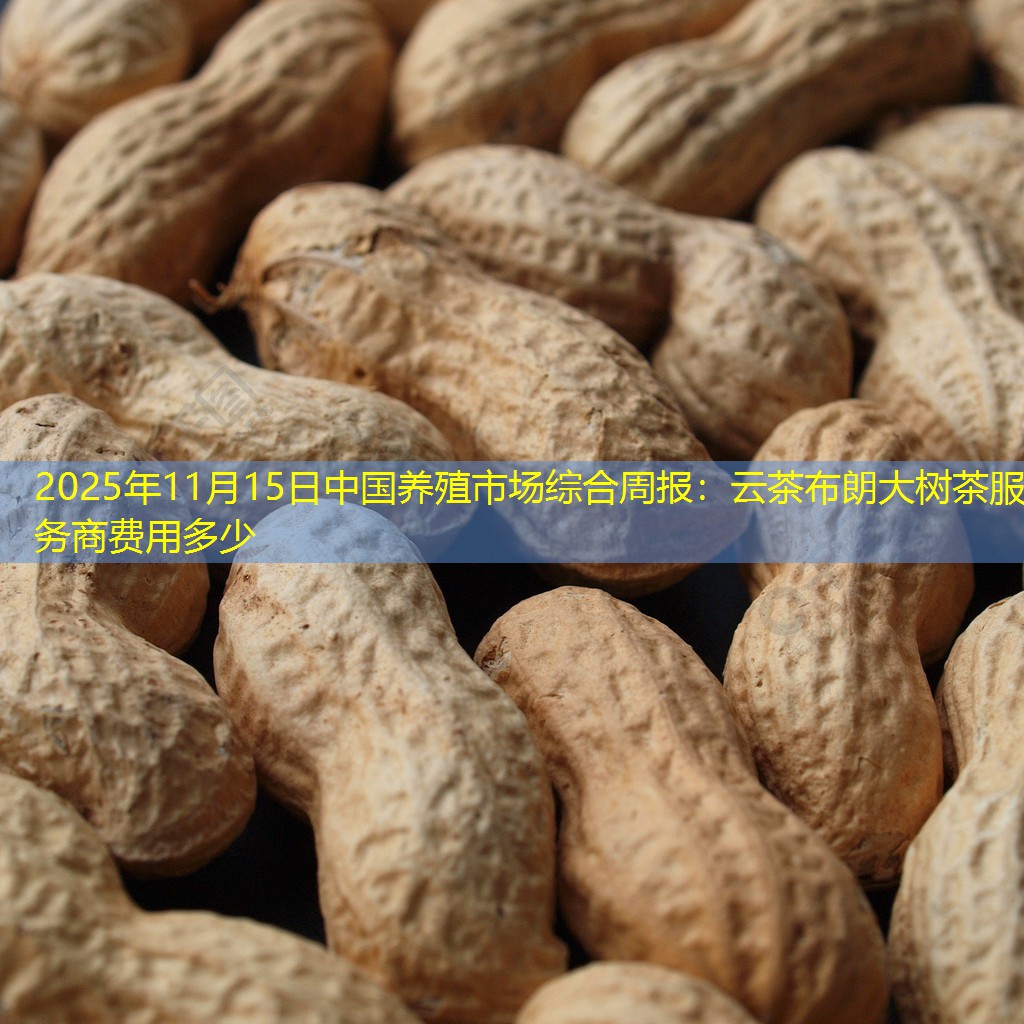 2025年11月15日中国养殖市场综合周报：云茶布朗大树茶服务商费用多少