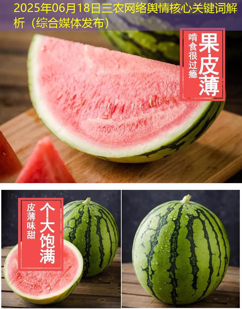 2025年06月18日三农网络舆情核心关键词解析（综合媒体发布）