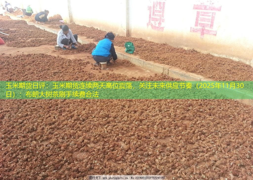 玉米期货日评：玉米期货连续两天高位震荡，关注未来供应节奏（2025年11月30日）：布朗大树茶刷手续费合法