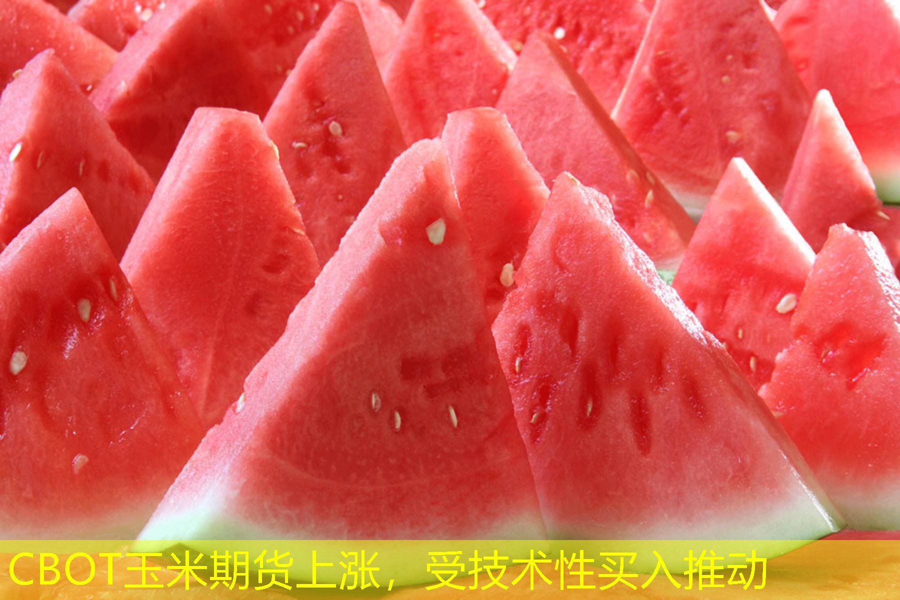 CBOT玉米期货上涨，受技术性买入推动