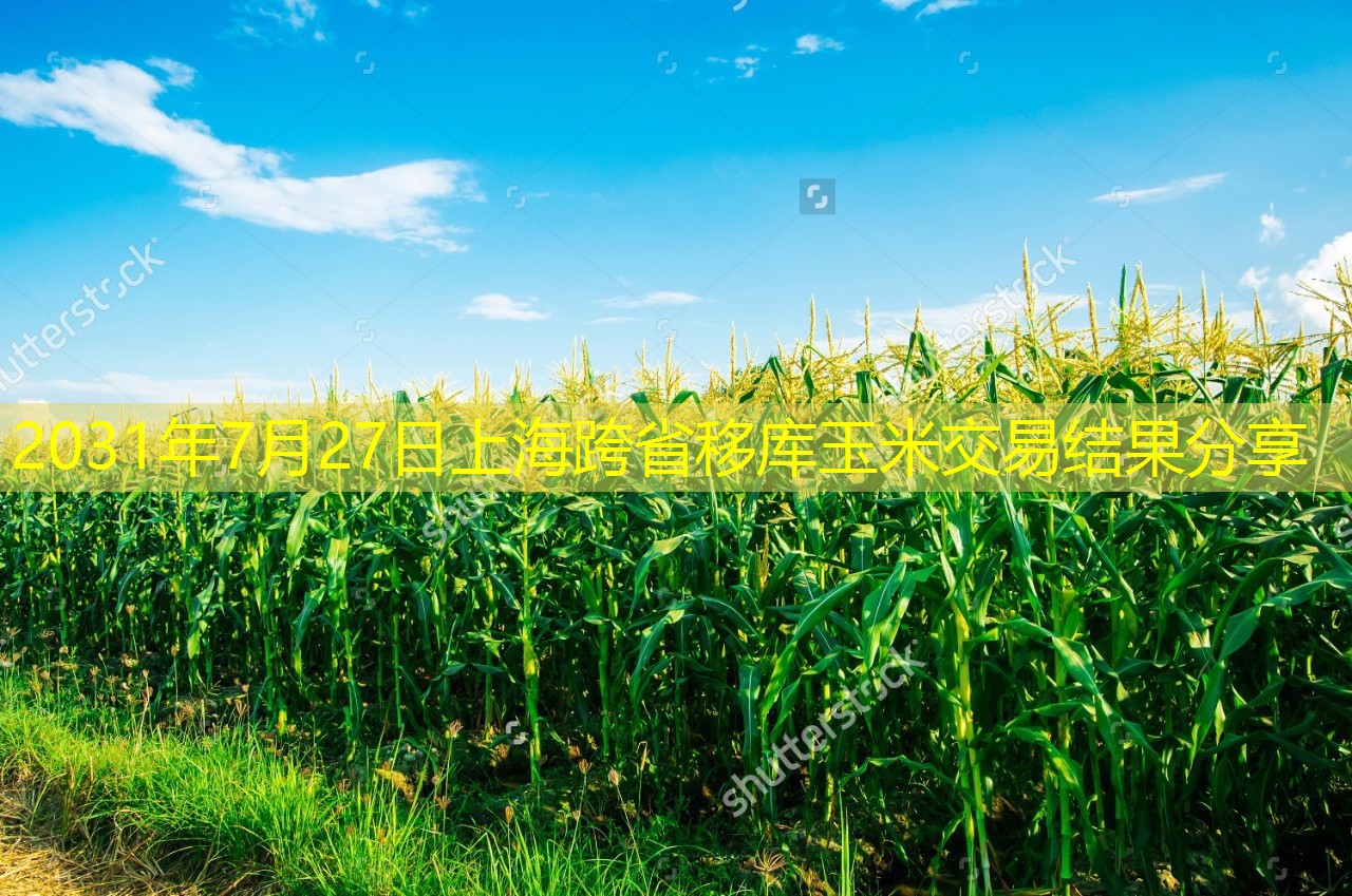 2031年7月27日上海跨省移库玉米交易结果分享