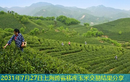 2031年7月27日上海跨省移库玉米交易结果分享