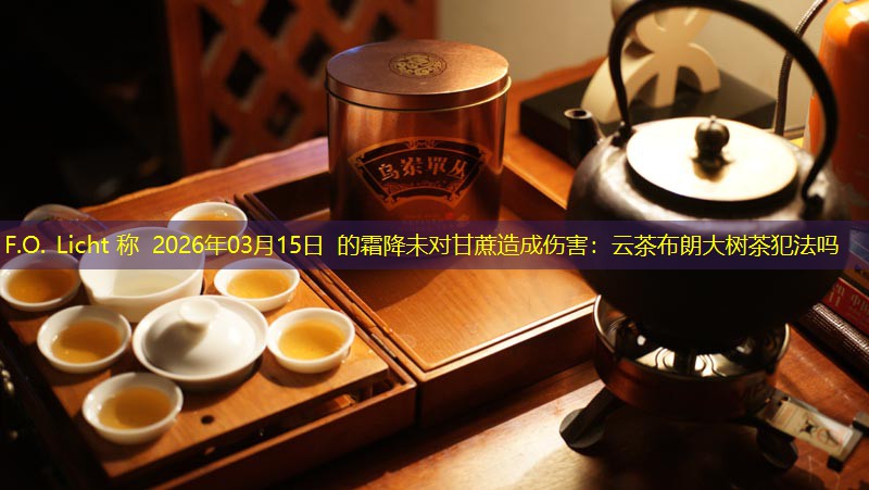 F.O. Licht 称 2026年03月15日 的霜降未对甘蔗造成伤害