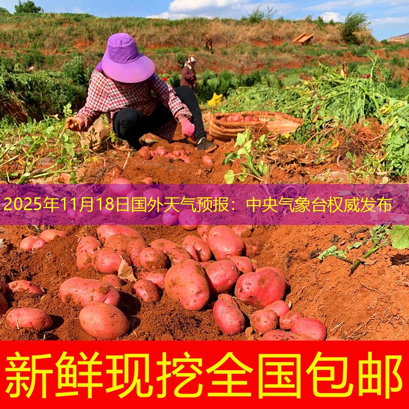 2025年11月18日国外天气预报：中央气象台权威发布