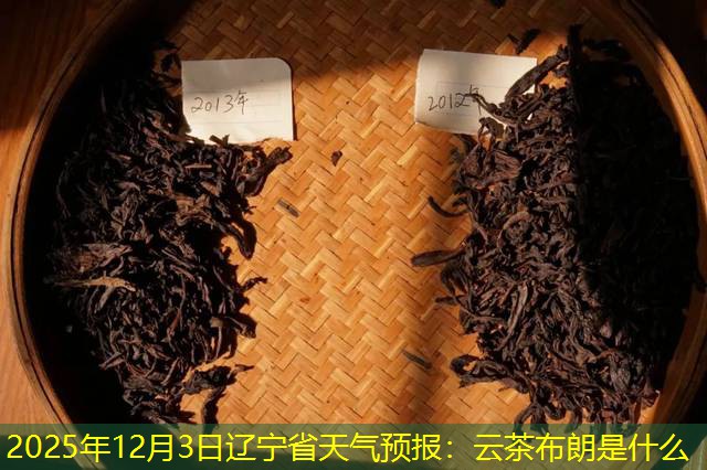 2025年12月3日辽宁省天气预报：云茶布朗是什么