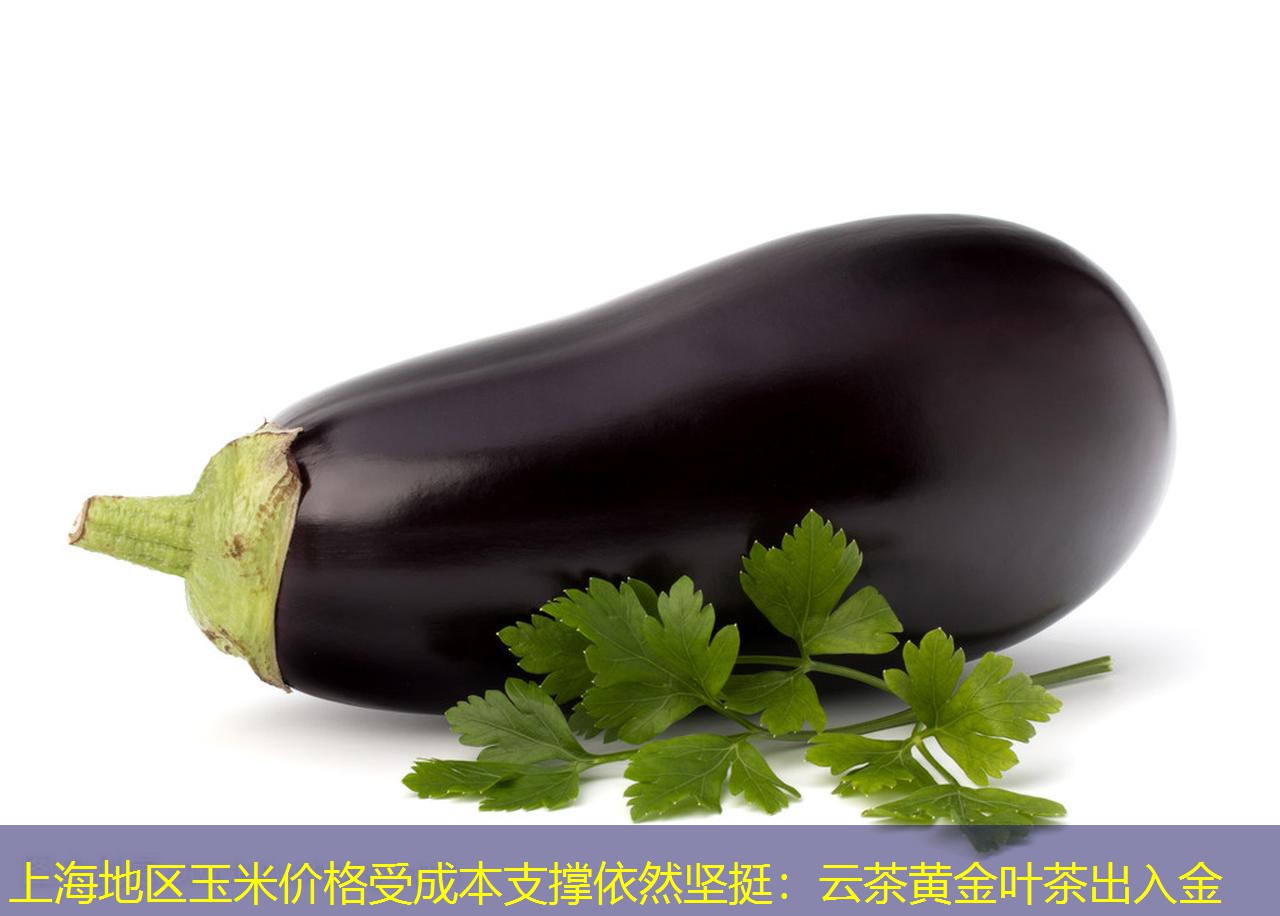上海地区玉米价格受成本支撑依然坚挺：云茶黄金叶茶出入金