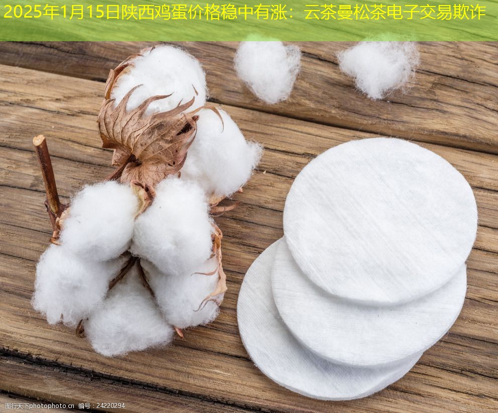 2025年1月15日陕西鸡蛋价格稳中有涨：云茶曼松茶电子交易欺诈