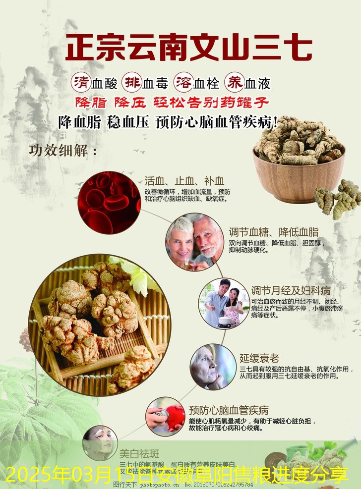 2025年03月15日安徽阜阳售粮进度分享