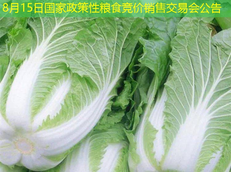8月15日国家政策性粮食竞价销售交易会公告