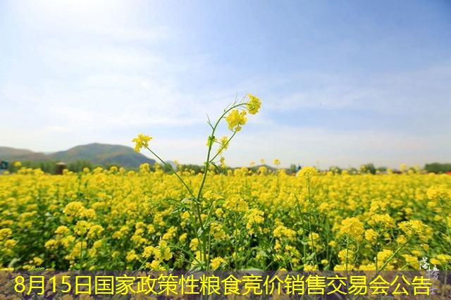 8月15日国家政策性粮食竞价销售交易会公告