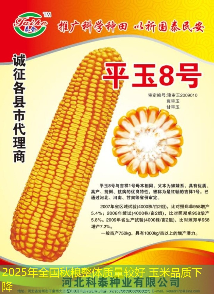 2025年全国秋粮整体质量较好 玉米品质下降