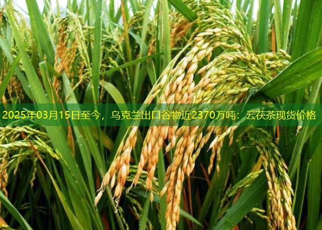 2025年03月15日至今，乌克兰出口谷物近2370万吨