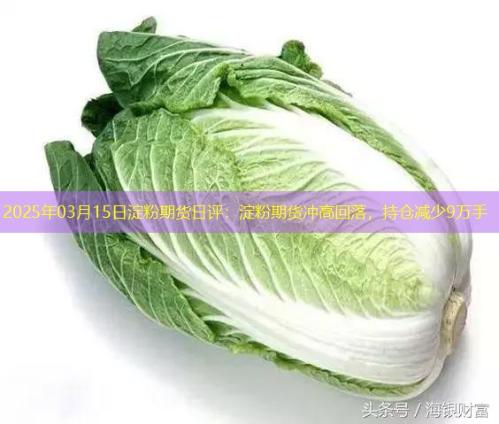 2025年03月15日淀粉期货日评：淀粉期货冲高回落，持仓减少9万手