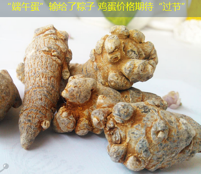 “端午蛋”输给了粽子 鸡蛋价格期待“过节”