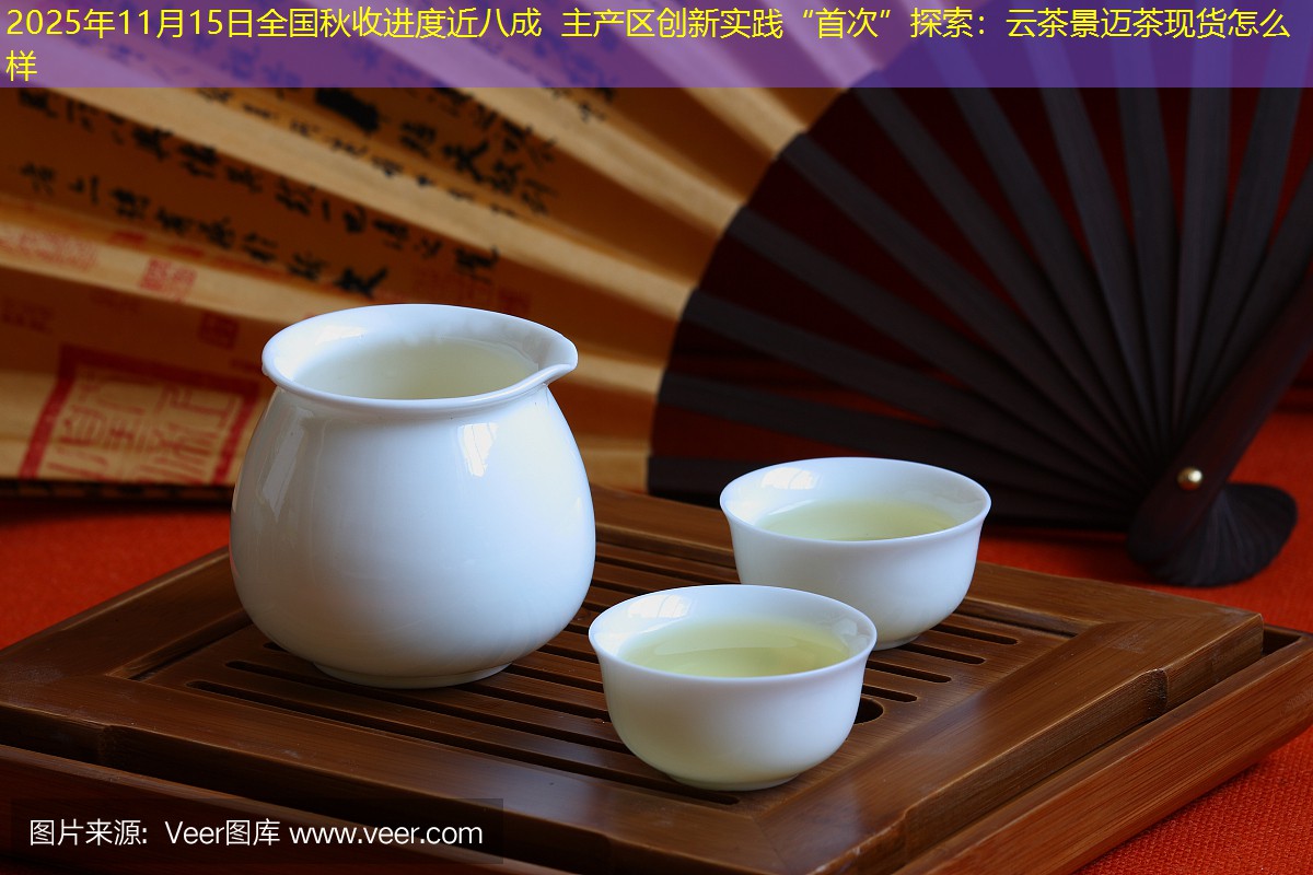 2025年11月15日全国秋收进度近八成 主产区创新实践“首次”探索