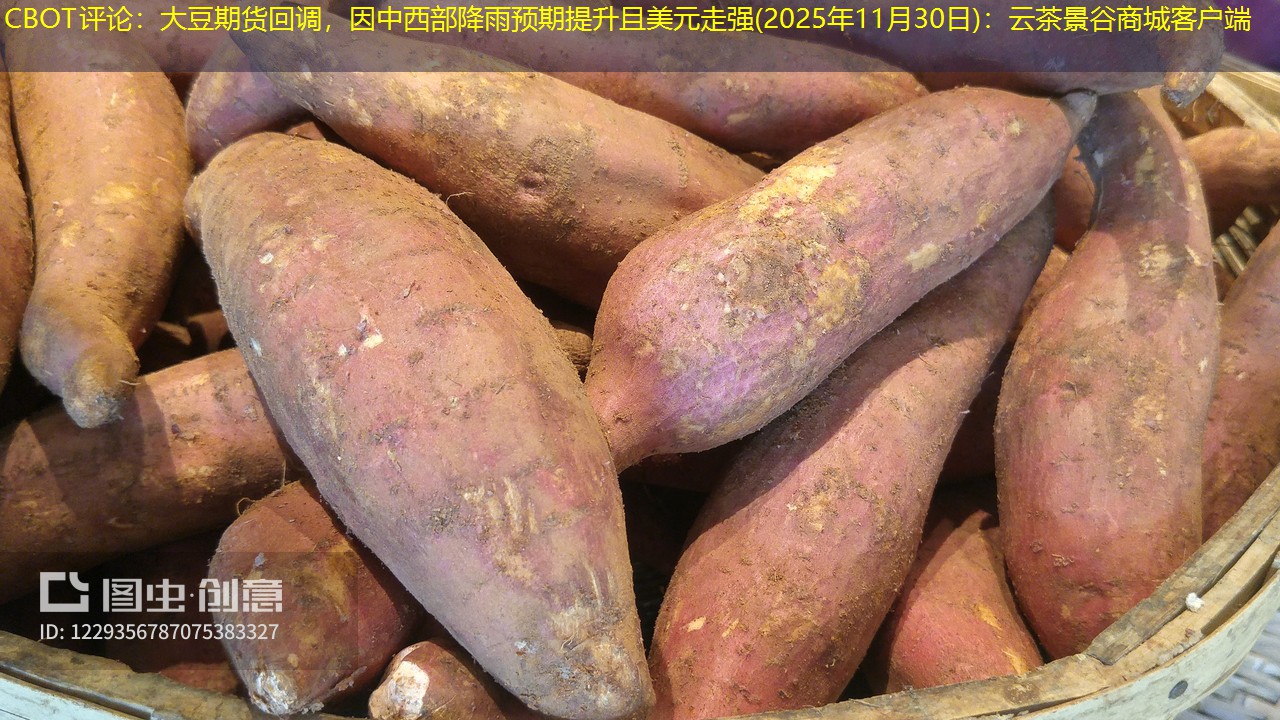 CBOT评论：大豆期货回调，因中西部降雨预期提升且美元走强(2025年11月30日)：云茶景谷商城客户端