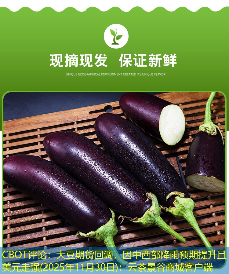 CBOT评论：大豆期货回调，因中西部降雨预期提升且美元走强(2025年11月30日)