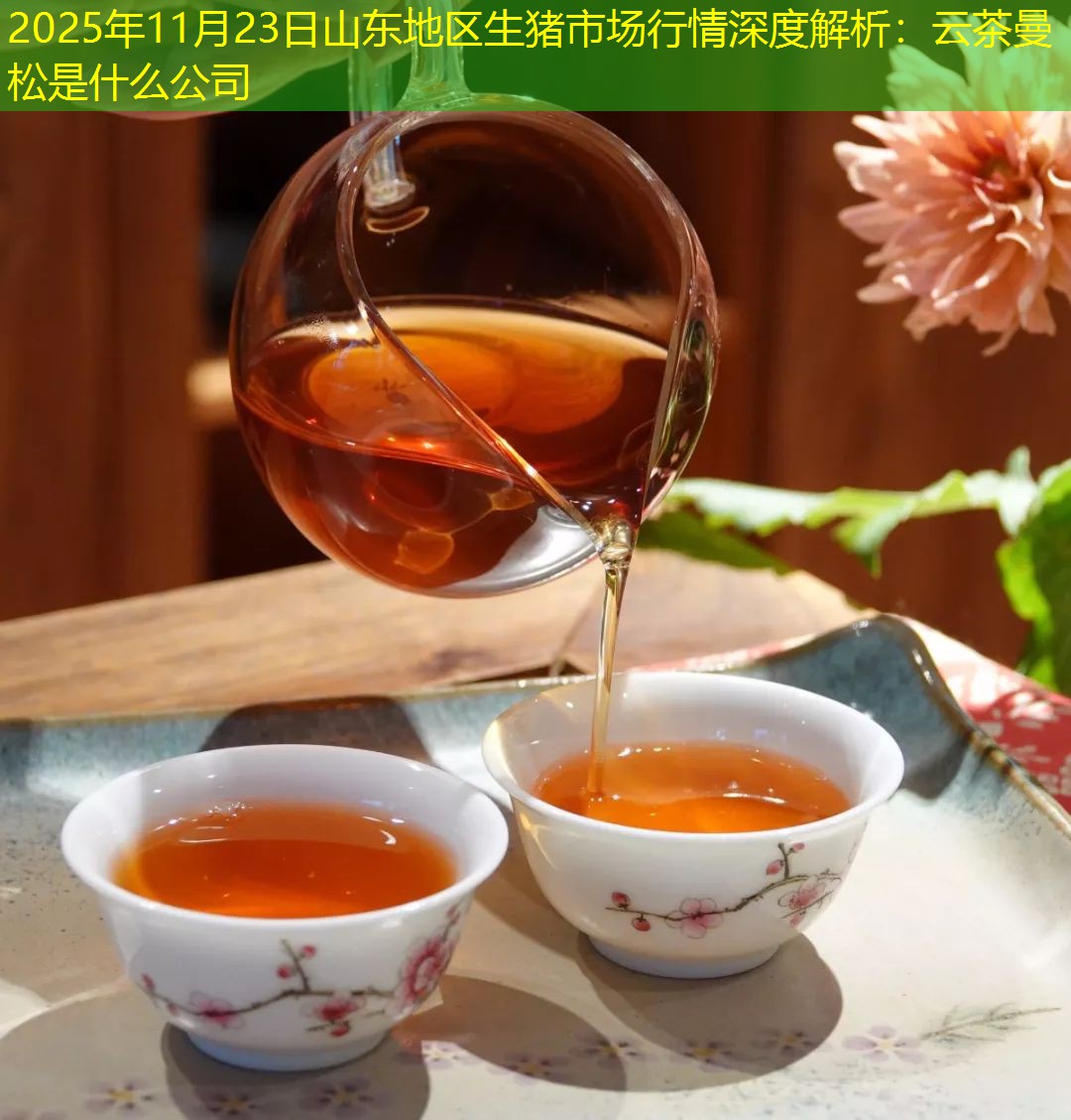 2025年11月23日山东地区生猪市场行情深度解析：云茶曼松是什么公司