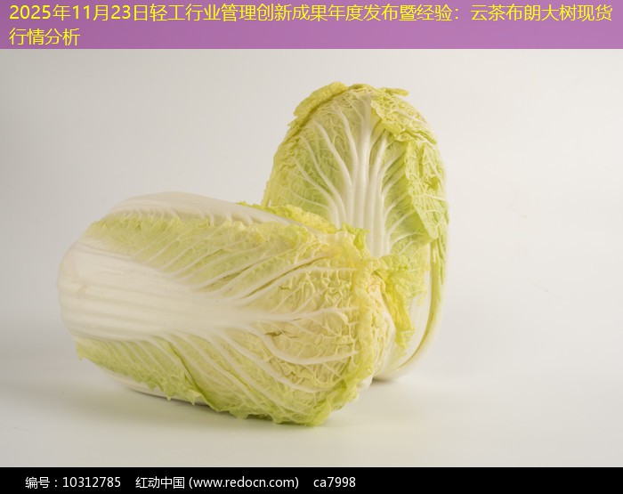 2025年11月23日轻工行业管理创新成果年度发布暨经验：云茶布朗大树现货行情分析