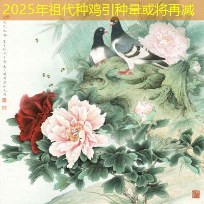 2025年祖代种鸡引种量或将再减