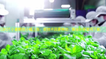 CBOT小麦期货小幅上涨，受技术因素推动：黄金叶茶官网下载