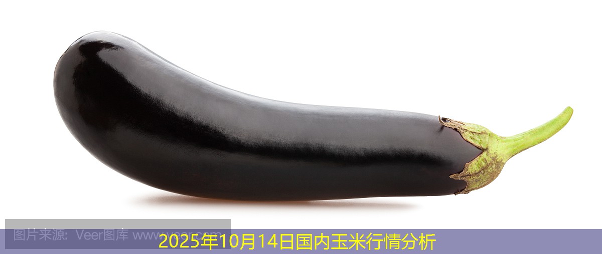 2025年10月14日国内玉米行情分析