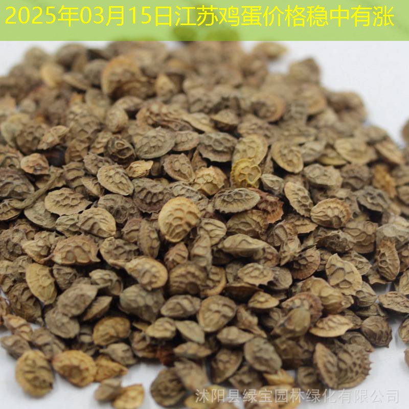 2025年03月15日江苏鸡蛋价格稳中有涨