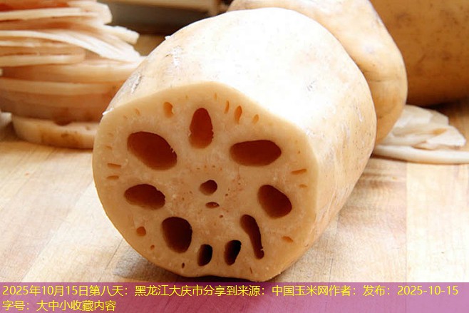 2025年10月15日第八天：黑龙江大庆市分享到来源：中国玉米网作者：发布：2025-10-15字号：大中小收藏内容