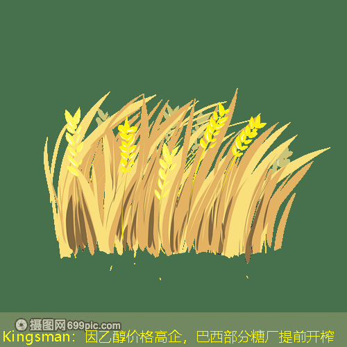 Kingsman：因乙醇价格高企，巴西部分糖厂提前开榨