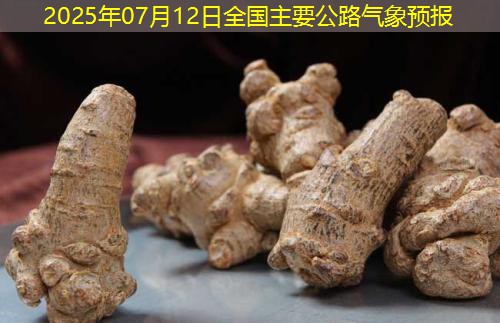 2025年07月12日全国主要公路气象预报