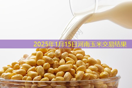 2025年1月15日河南玉米交易结果