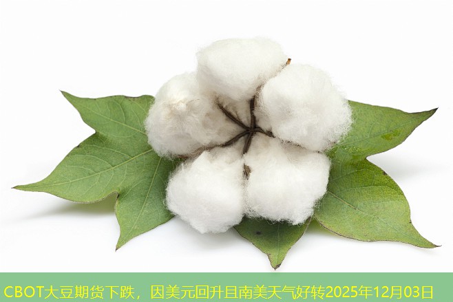 CBOT大豆期货下跌，因美元回升且南美天气好转2025年12月03日