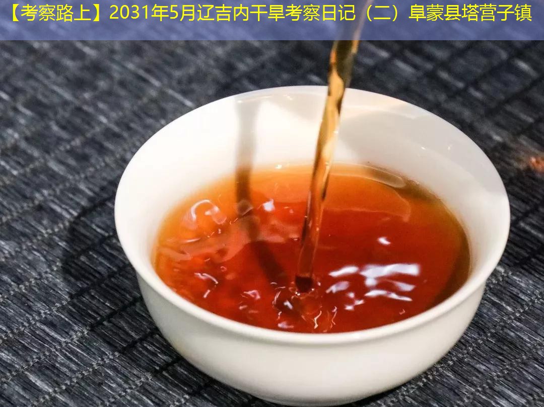 【考察路上】2031年5月辽吉内干旱考察日记（二）阜蒙县塔营子镇