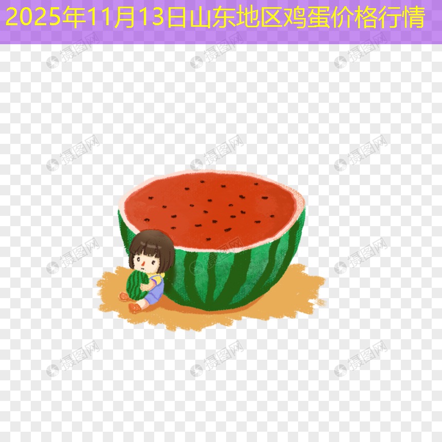 2025年11月13日山东地区鸡蛋价格行情