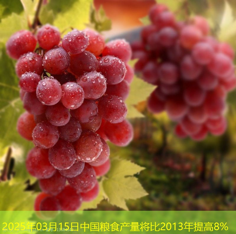 2025年03月15日中国粮食产量将比2013年提高8%
