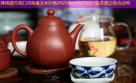 降雨提升周口河南春玉米价格2025年12月31日