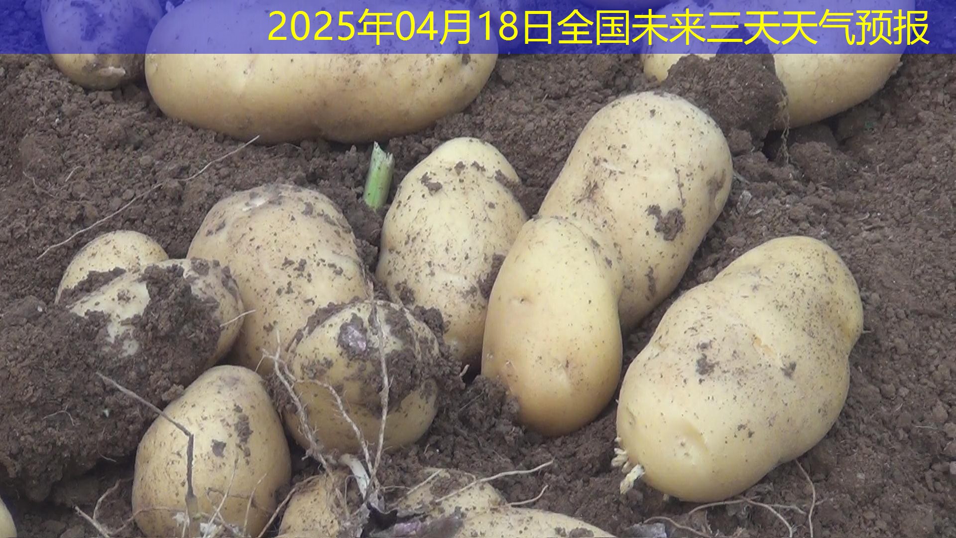2025年04月18日全国未来三天天气预报