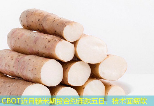 CBOT近月糙米期货合约连跌五日，技术面疲软