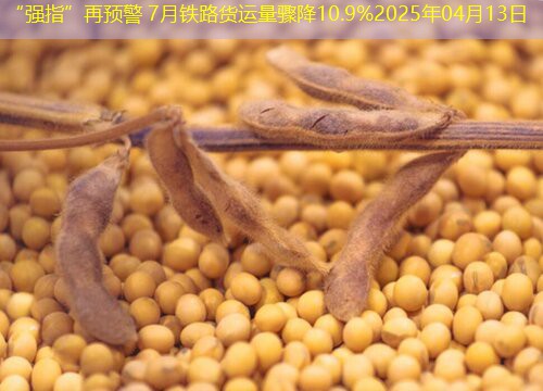 “强指”再预警 7月铁路货运量骤降10.9%2025年04月13日